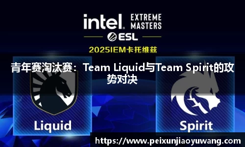 青年赛淘汰赛：Team Liquid与Team Spirit的攻势对决