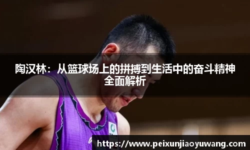 陶汉林：从篮球场上的拼搏到生活中的奋斗精神全面解析
